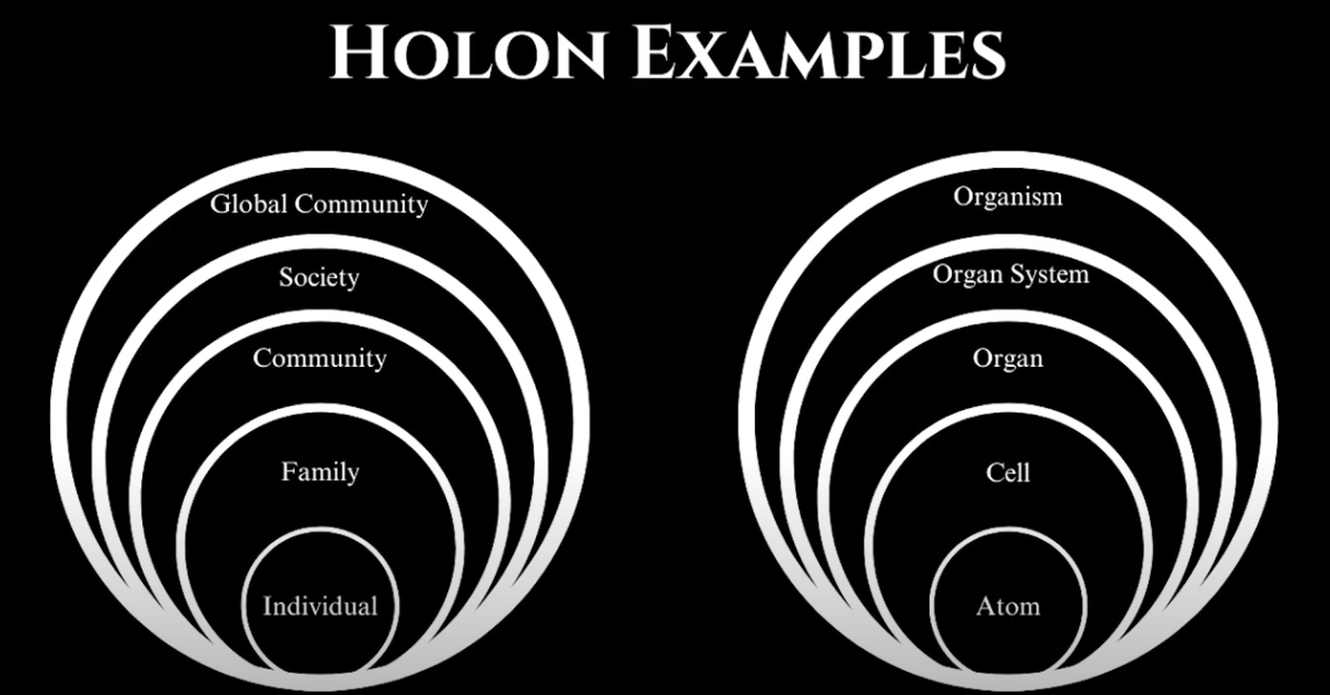 Holon Examples - Nested hierarchies of development